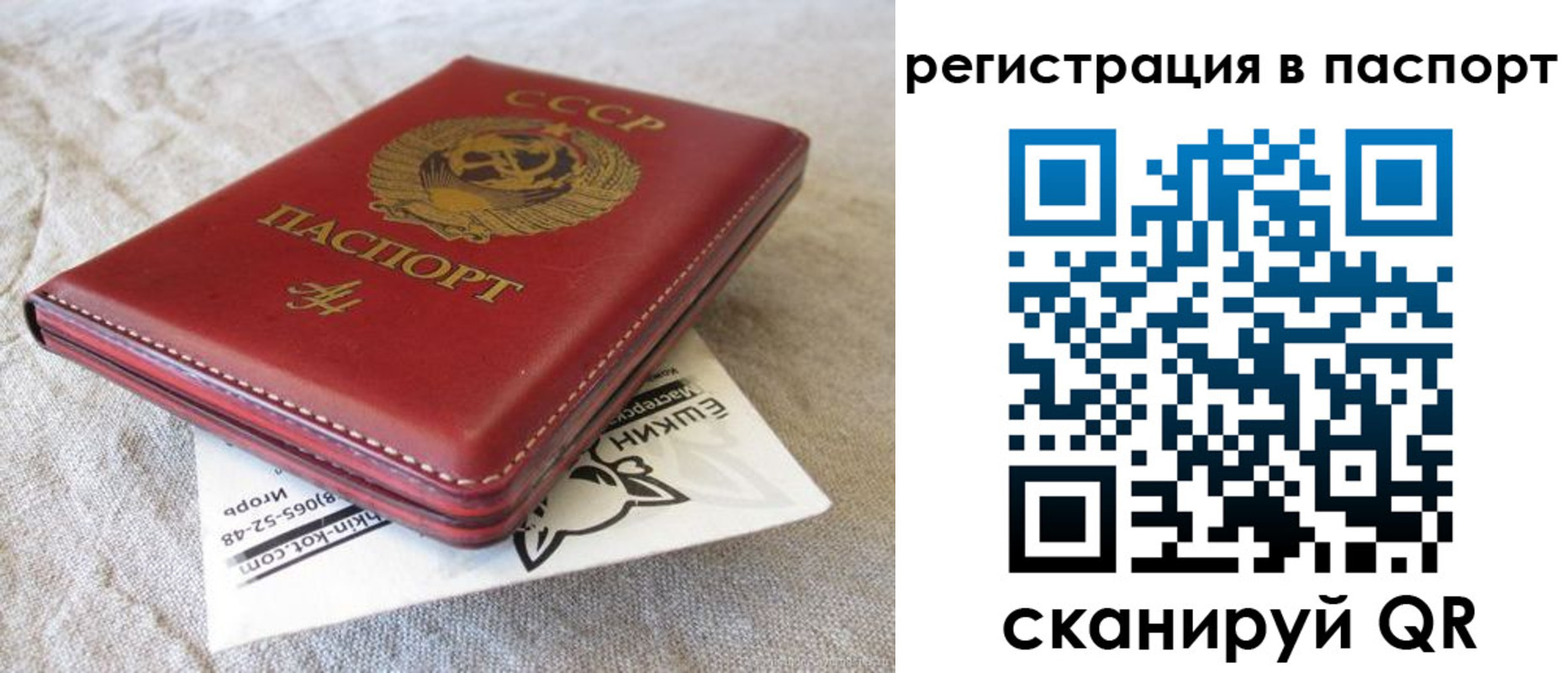 где прописаться в Ингушетии